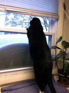 Jack and the Snow Window